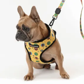 Certified Leg Lifter Pet Harness