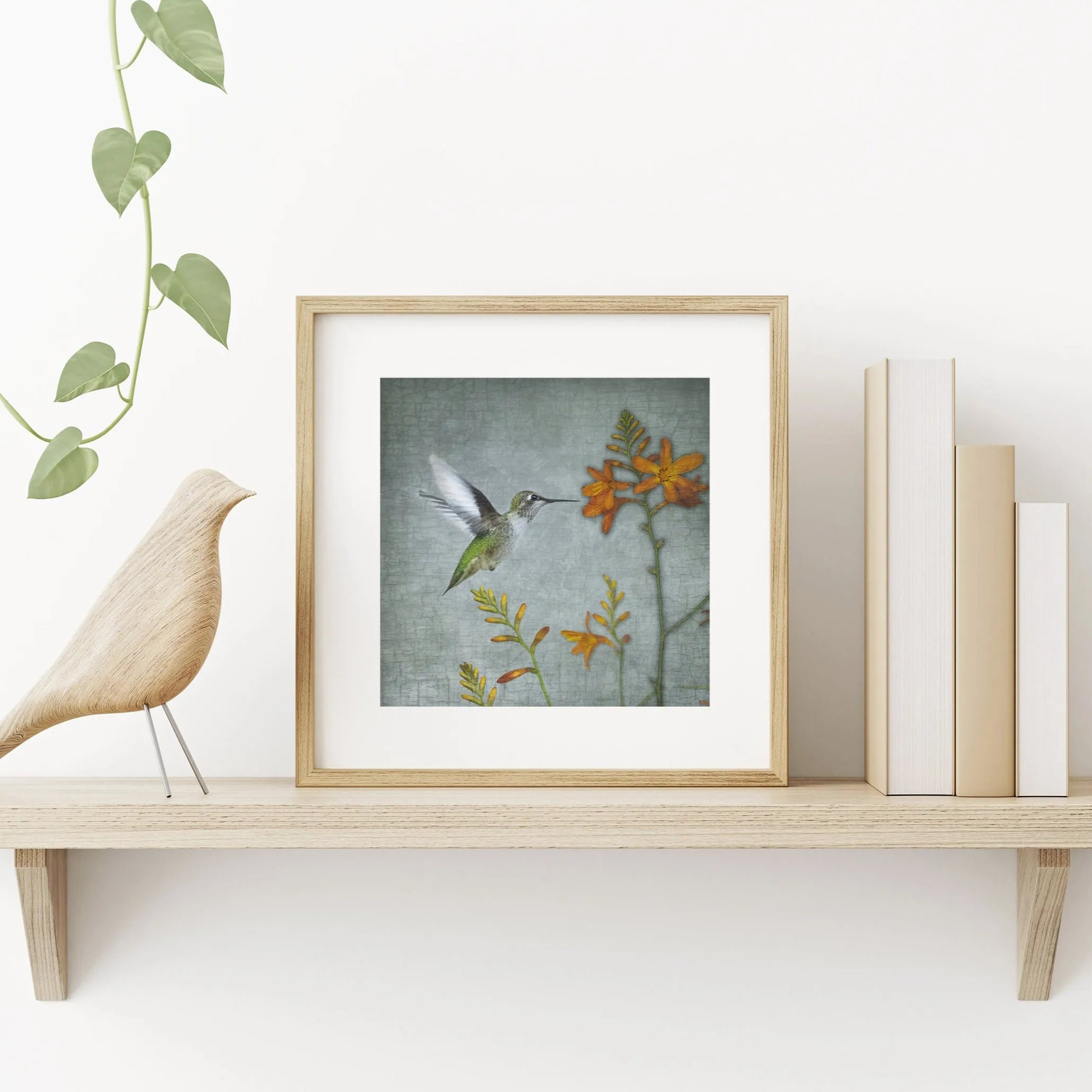 MONTBRETIA HUMMINGBIRD - Fine Art Print, Garden Birds Series